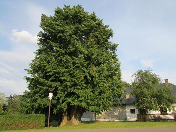 Penzion Pastviny Buitenkant foto